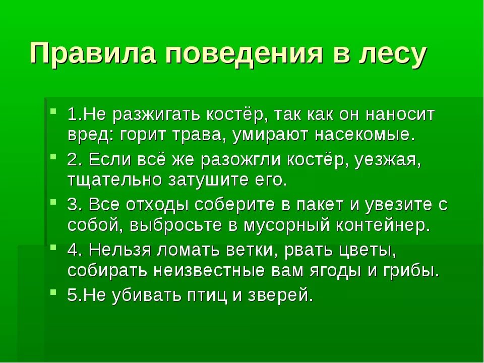 Предложения про правду. Поведение в лесу 2 класс окружающий мир. Памятка правила поведения в лесу 2 класс. Памятка поведения в лесу 2 класс окружающий мир. Правила поведения в лесу 4 класс.