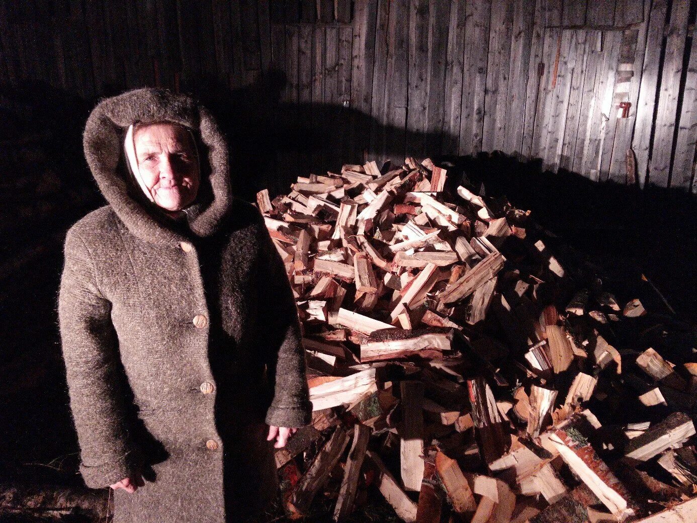 Бабушке привезли дрова. Бабушка везет дрова. Немецкая бабушка несёт дрова. Машина везет дрова.