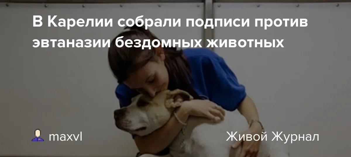 Против эвтаназии животных. Против эвтаназии животных картинки. бездомные животные закон.
