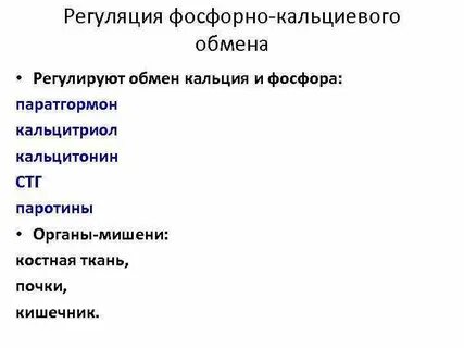 Обмен кальция и фосфора