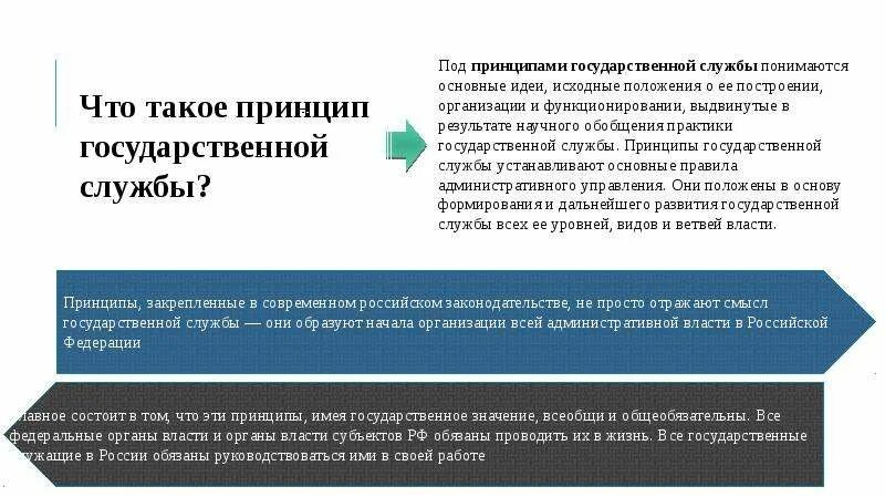 Развития системы государственной службы российской федерации. Принципы гражданской службы РФ. Принципы государственной службы. Принципы государственной службы РФ. Принципы построения государственной службы.