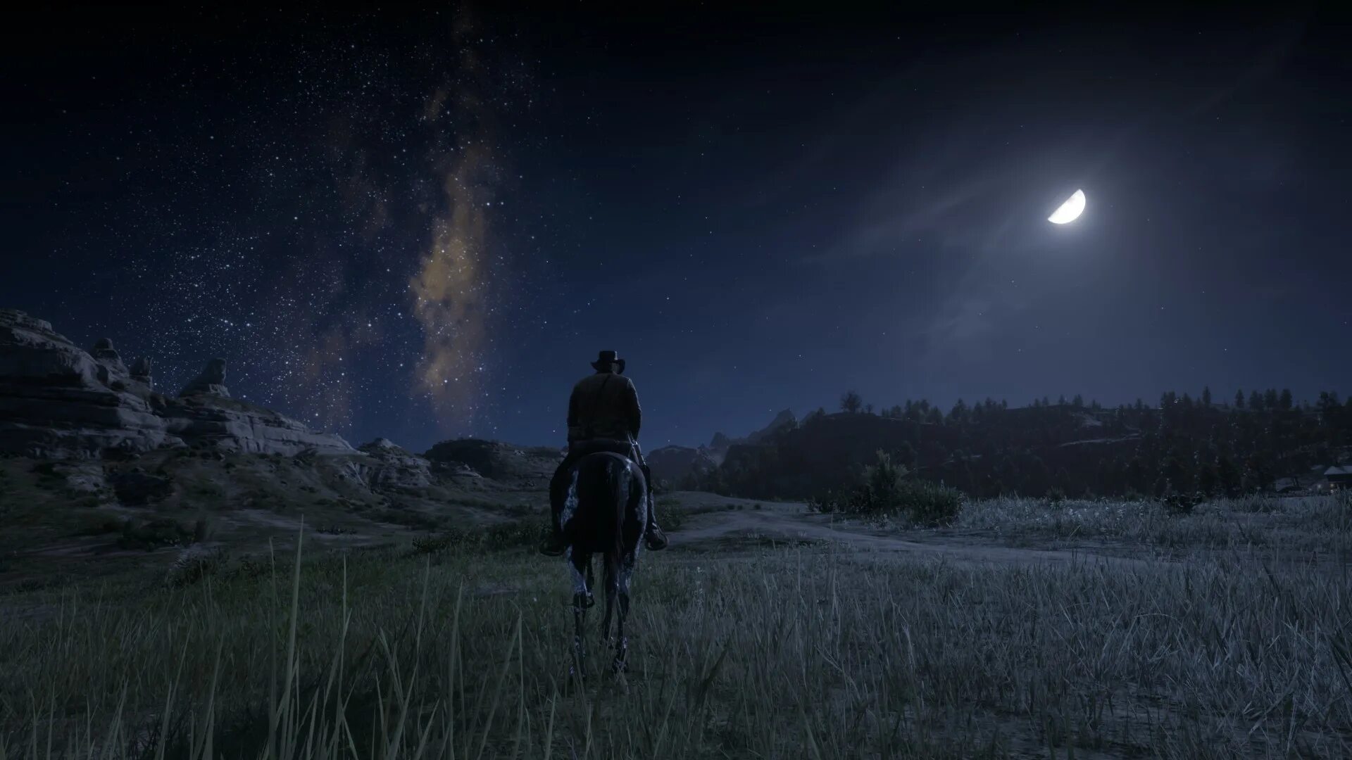 Rdr 2 euphoria