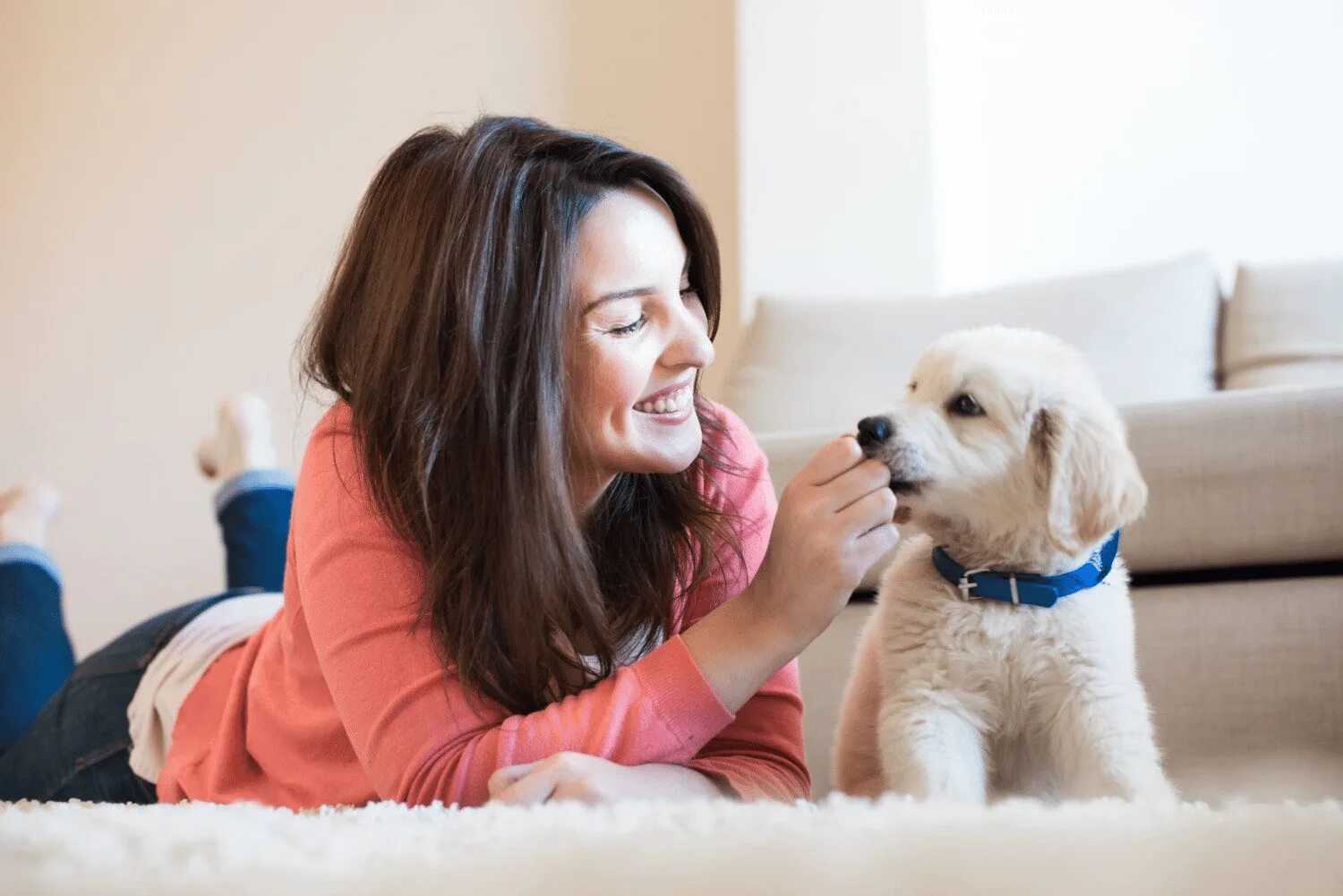 Dog has woman. Домашние животные и человек. Люди с домашними животными. Забота о собаке. Домашние животные для квартиры.