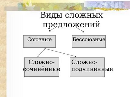 Союзные сложные предложения делятся на