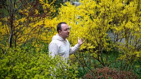 Ботанический сад имени гроздова брянск