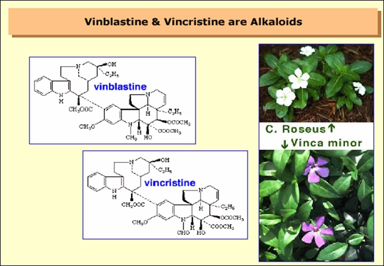 Алкалоид Винбластин. Винбластин формула. Винбластин и винкристин. Алкалоиды формула.