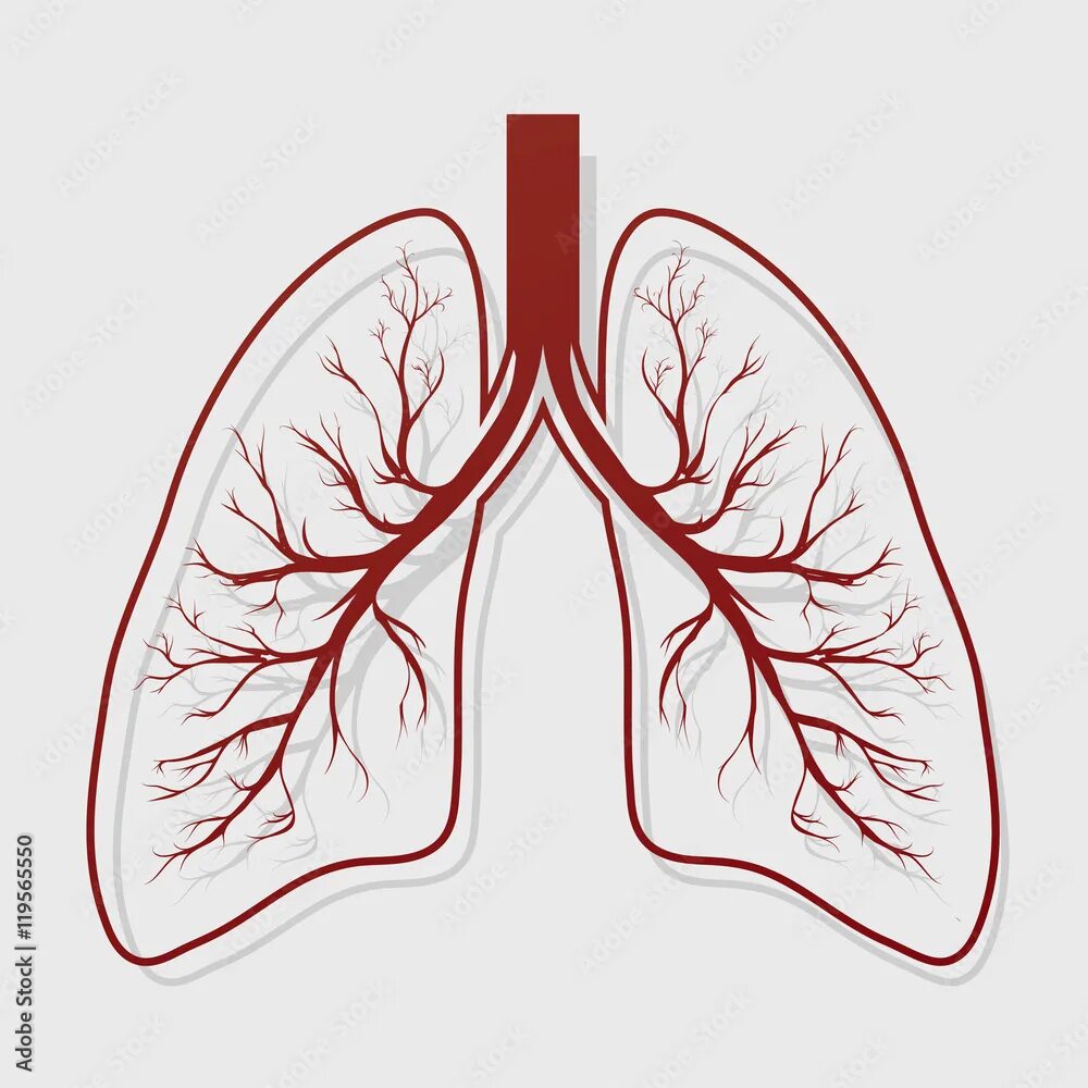 Легкие картинки. Особые легкие. Легкие. Особые легкие. Параканкрозная пневмония.