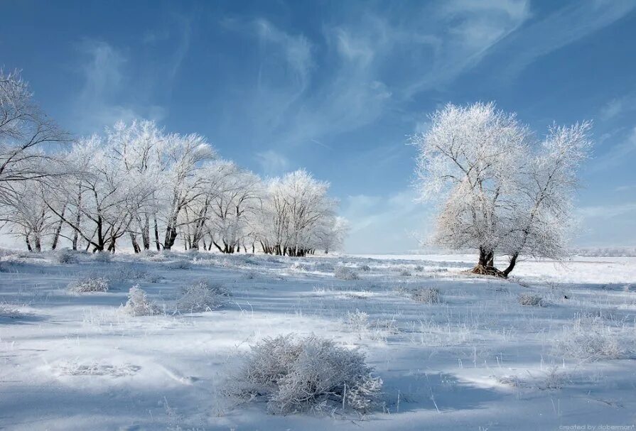 Зима ни. Февральский пейзаж. Зима февраль. Январь пейзаж. Февраль месяц природа.