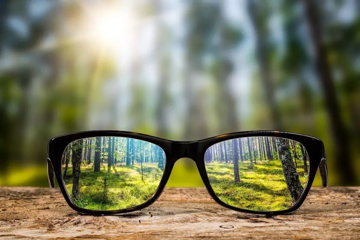 Видеть. Летние очки. Очки с отражением. Очки на фоне природы. Очки для зрения.