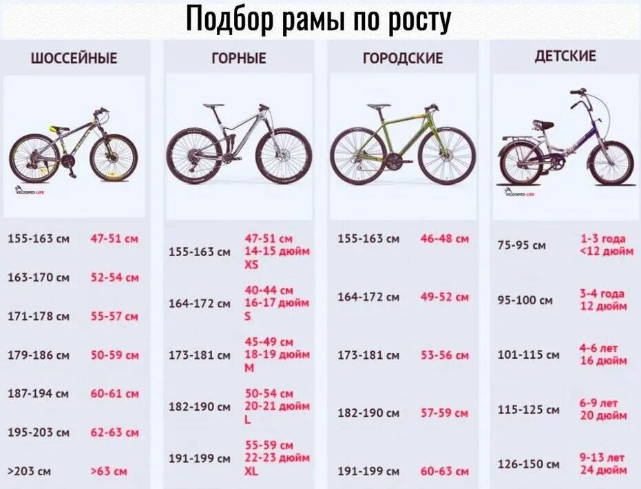 Велосипед колеса 24 дюйма на какой рост – Telegraph