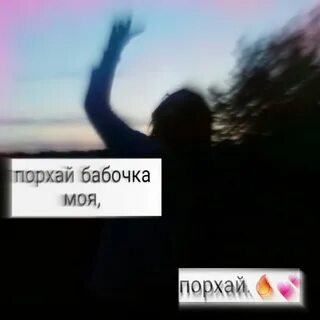 Порхали или пархали проверочное