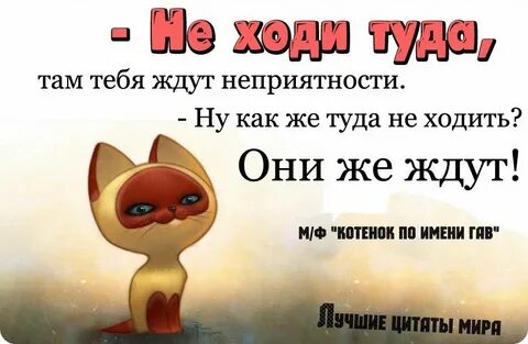 Мелкая жизненная неприятность 9 букв на н