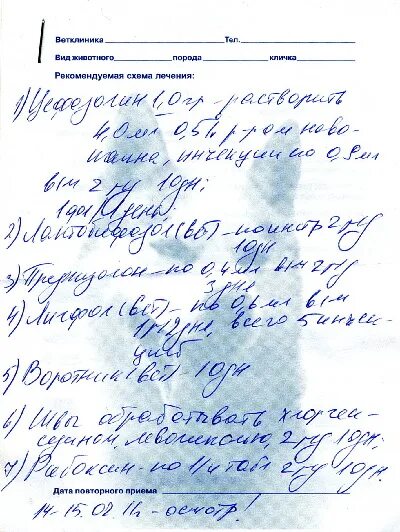 Левофлоксацин 500 мг рецепт на латинском. Метотрексат рецепт на латыни. Назначение врача. Рецепт на уколы. Мильгамма уколы на латинском.