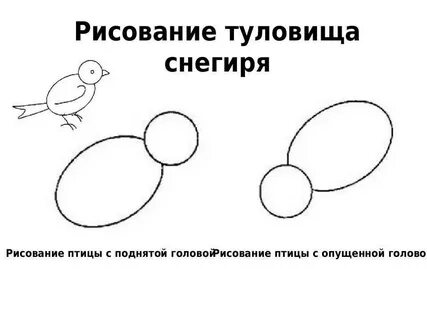 Рисование птиц конспект