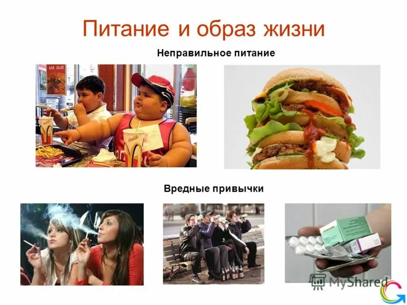 вредная еда. девушка с едой. нездоровая пища. нерациональное питание. вредная привычка неправильное питание.