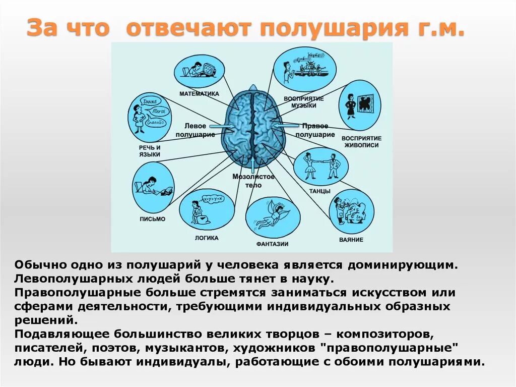 Какое полушарие за какие функции отвечают. Зп что отвеааюи полушария. за что отвечают полушария. за что отвечают разные полушария -. за что отвечает левое и правое полушарие.