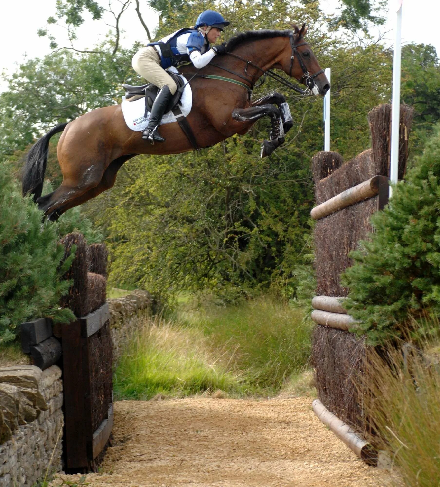 Horse sport. Эстетика конного спорта конкур. Лошади. Конкур. Конный спорт.. Эстетика кросс Кантри троеборье лошади. Кросс Кантри конный спорт.