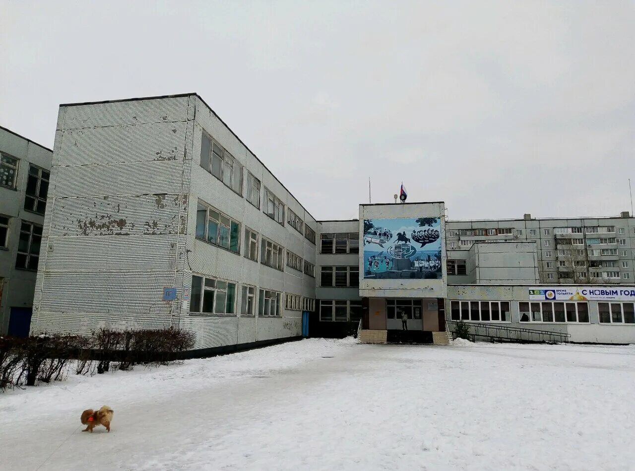 директор школы 23 тольятти. адреса школ тольятти.