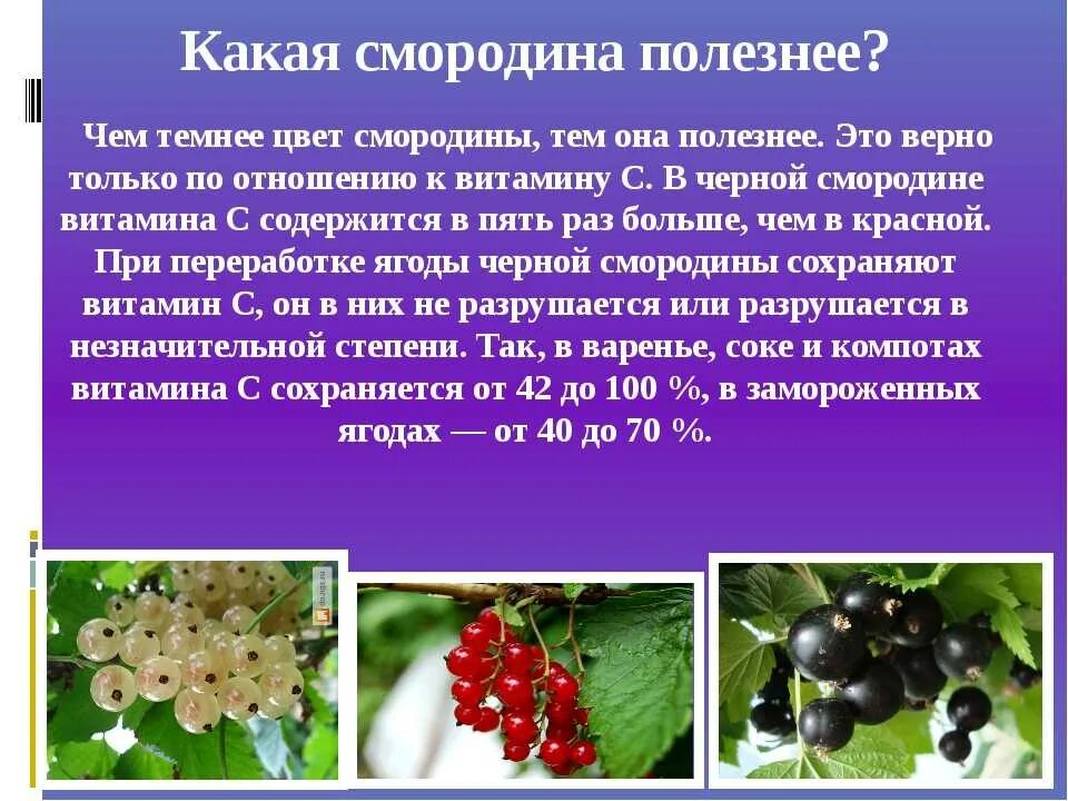 Значение роста в жизни смородины. Чем полезна смородина. Витамины в ягодах смородины. Смородина полезные свойства. Чем полезна черная смородина.