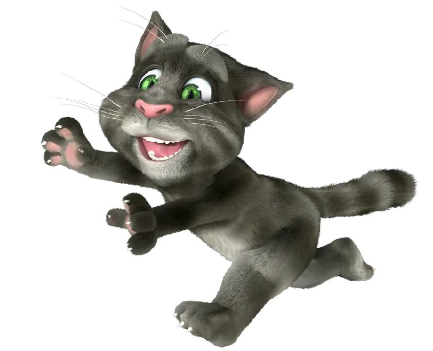 Кот том. Talking Tom Cat. Кот том на белом фоне. Кот том картинки.