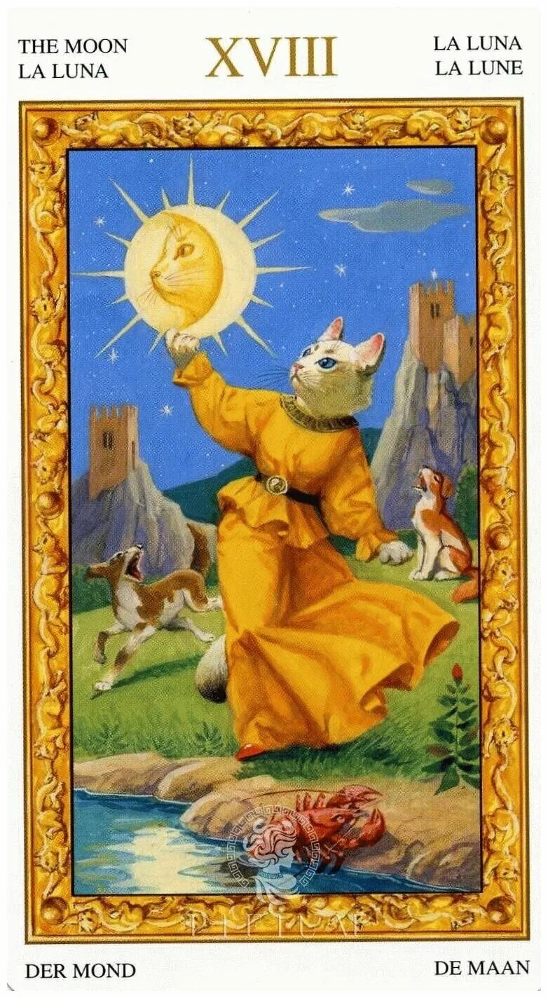 Tarot of white cats / таро белых кошек. Tarot of white cats / таро белых кошек. таро белый кот. таро белых кошек солнце. таро белых кошек старшие арканы.
