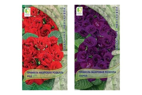Примула махровая семена