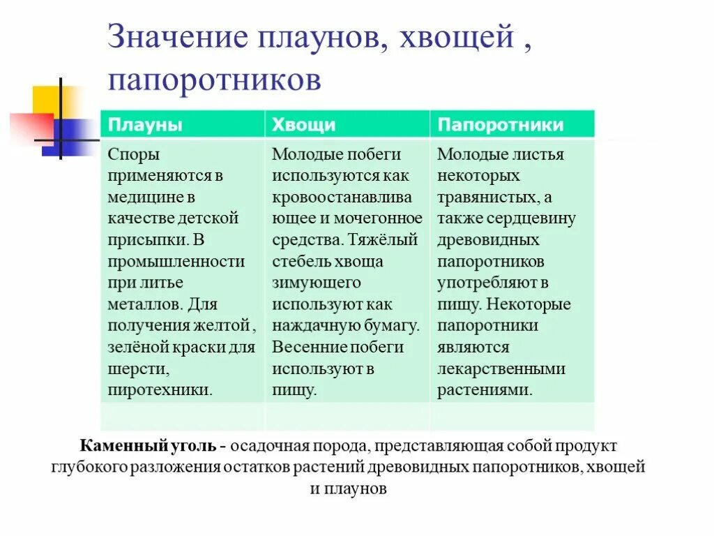 Значение вымерших плаунов и хвощей в природе