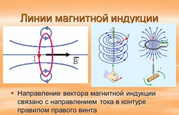 Как определить направление вектора магнитного поля. Направление магнитной индукции линий магнитной индукции. Направление тока и вектора магнитной индукции. Направление магнитной индукции в магните. Вектор магнитной индукции и магнитные линии.