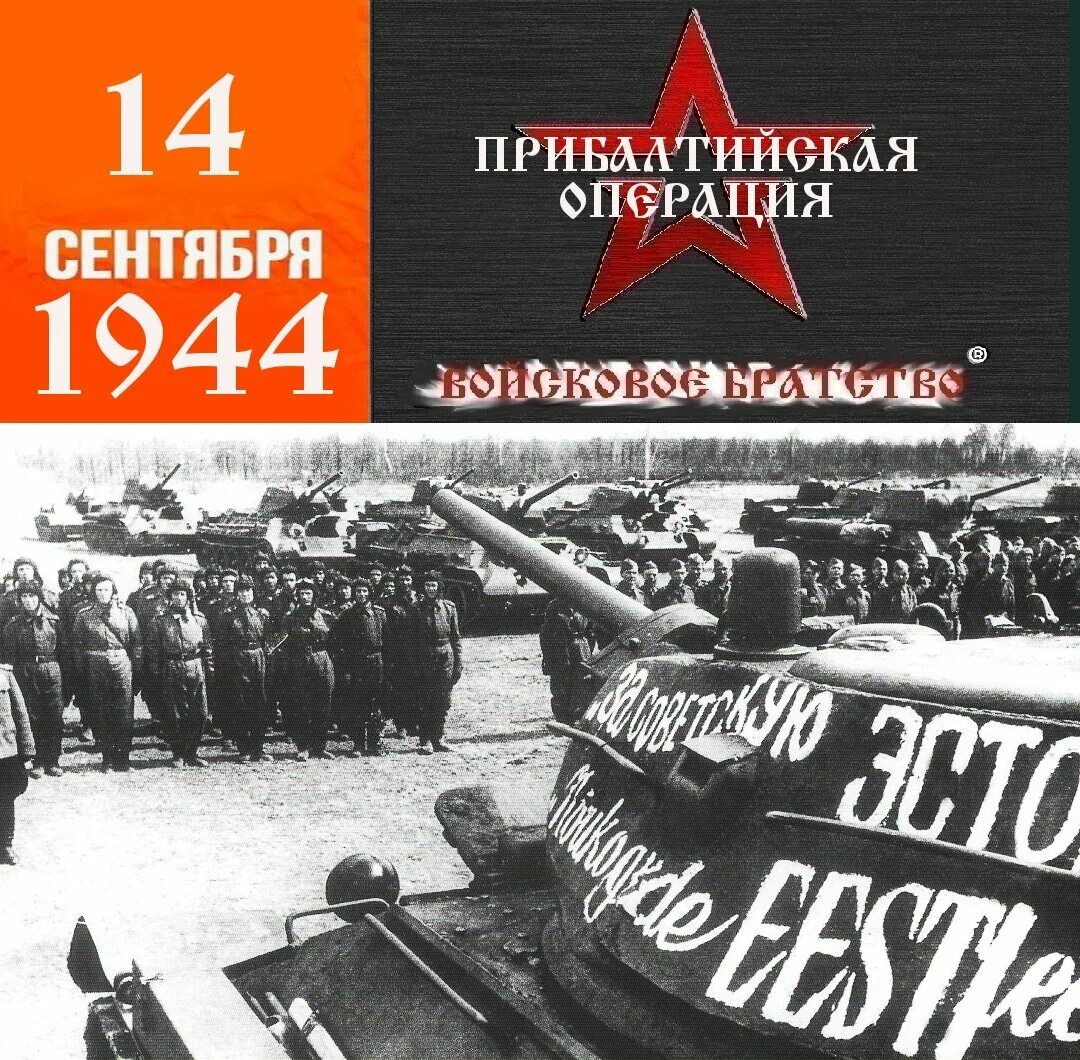 Октябрь ноябрь 1944. Прибалтийская операция 14 сентября 24 ноября 1944. прибалтийская наступательная операция. прибалтийская операция (14 сентября – 24 ноября 1944 г.). прибалтийская наступательная операция 1944.