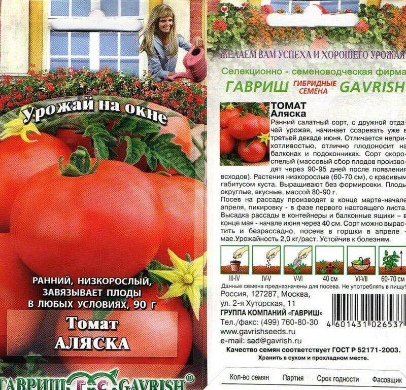 Раннеспелые сорта томатов для теплиц. Томат аляска гавриш. семена помидор для теплицы низкорослые. томат аляска, урожай на окне. сорт помидор аляска.