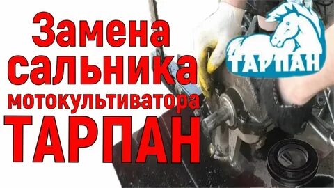 Сальник тарпан