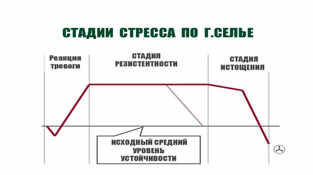 Выберите стадии стресса. Фазы стресса по теории Селье. Теория стресса ганселье. Ганс Селье концепция стресса. Стресс-реакция по г Селье.