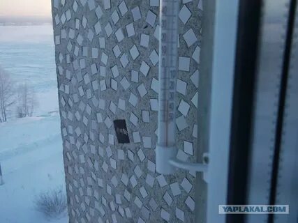 Почему зимой не замерзает