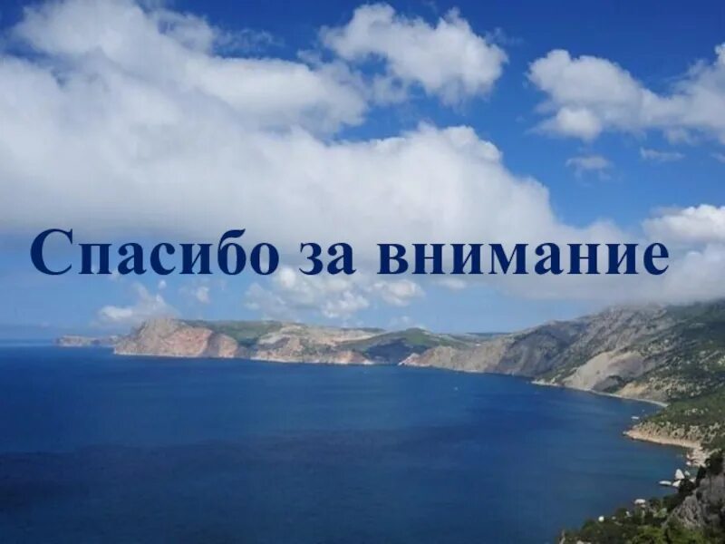 Сочи 4 класса
