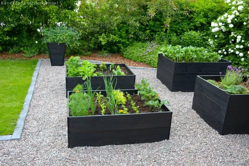 Черные грядки. Красивые овощные грядки. Черные грядки. Декоративный огород. Грядки из бетонных блоков.