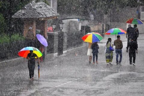 Much rain