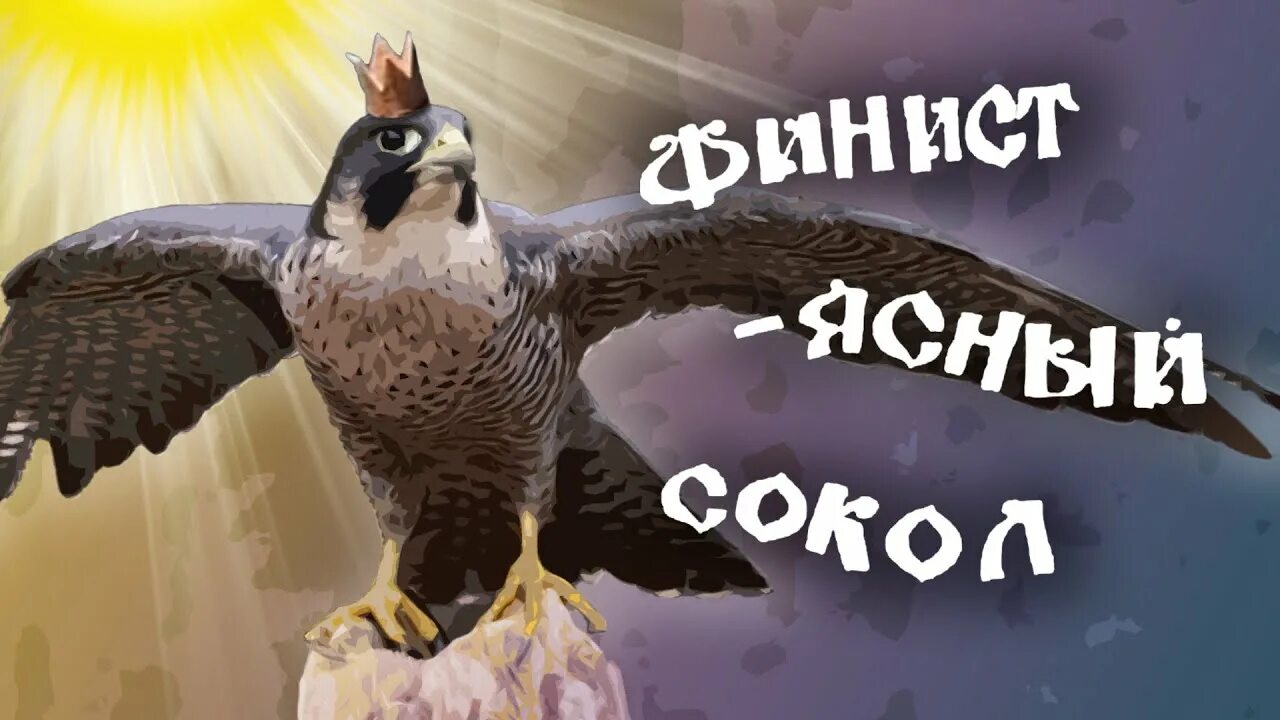 Финист ясный сокол 1969. Финист ясный сокол птица. Финист птица сокол. «финист – ясный сокол». Ясный сокол птица.