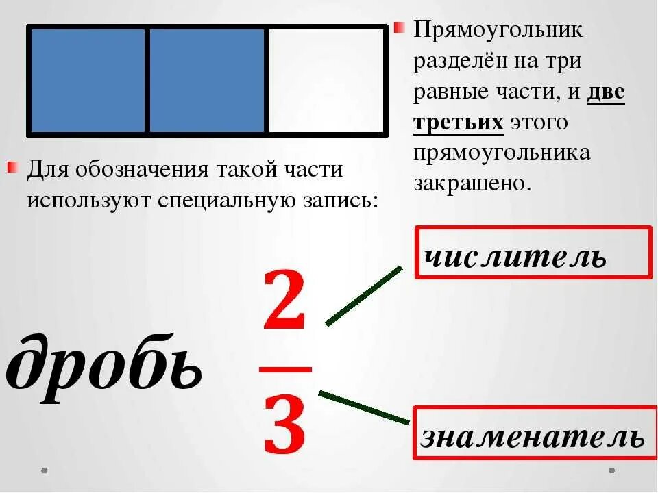 Как отличить 2 от 3. Прямоугольник разделенный на доли. Прямоугольник поделенный на три части. Деление прямоугольника на части. Как делить доли.