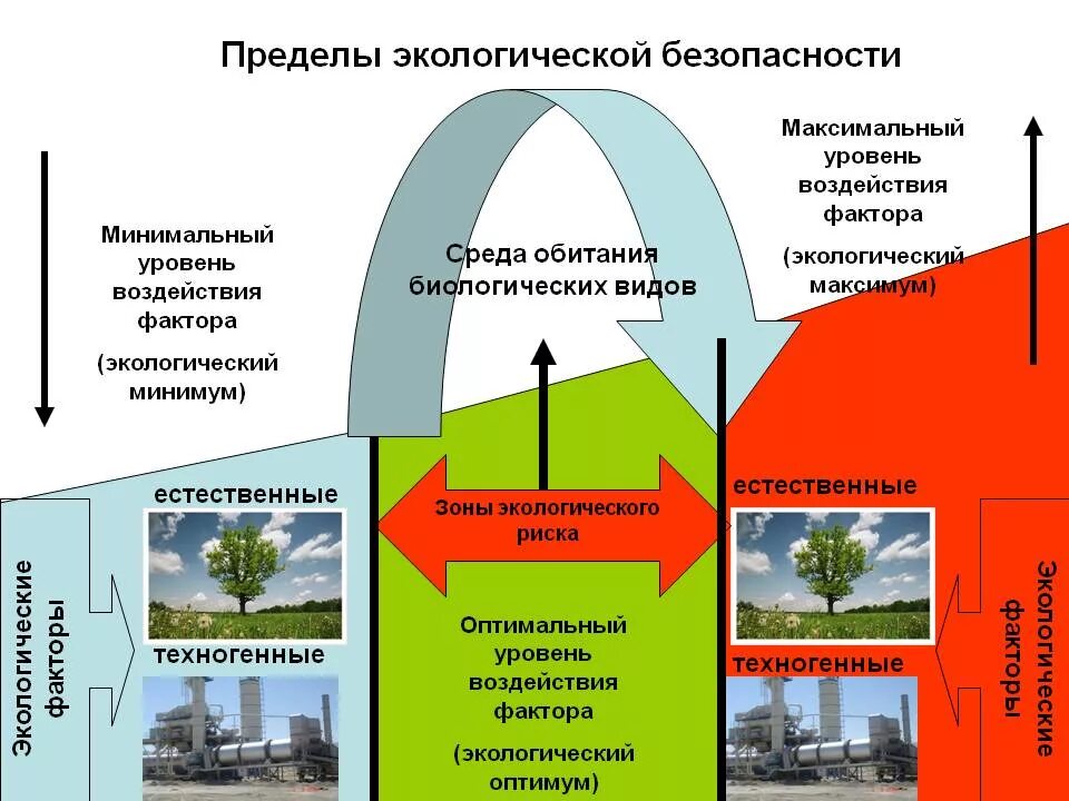 Вид максимальный. Экологическая безопасность. Экология и экологическая безопасность. Концепция экологической безопасности. Факторы экологической безопасности.