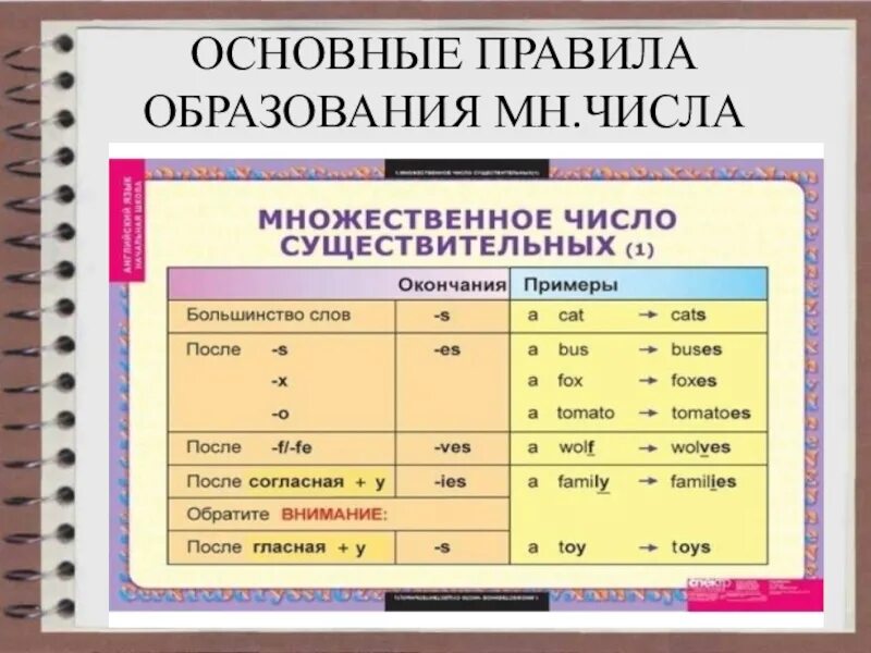 Множественное число слова 2 класс. Множественное число имени существительного в английском языке. Окончания существительных во множественном числе в английском языке. Мн число существительных в английском языке правило. Правила формирования множественного числа в английском.