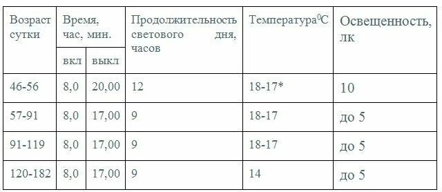 Температура в брудере для индюшат. Температурный режим для цыплят индюшат таблица. Температурный режим для индюшат таблица. Температурный режим для индюшат таблица в брудере. Температурный и световой режим для индюшат.