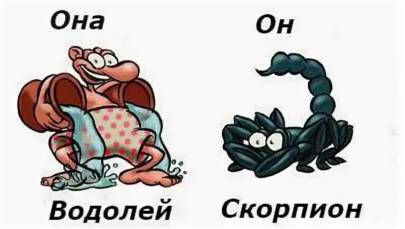 Женщина скорпион женщина водолей