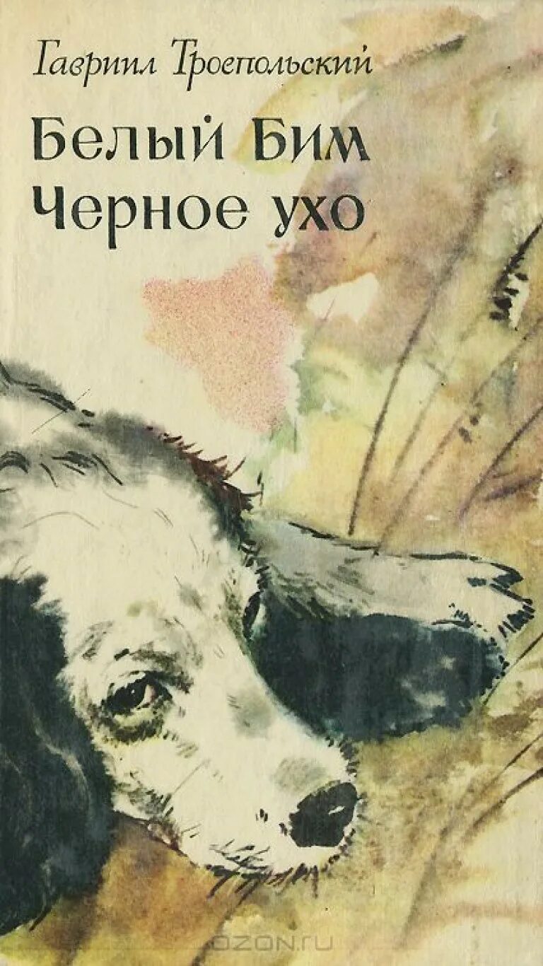 Троепольский белый Бим книга. Гавриил Троепольский белый Бим. Троепольский белый Бим черное. Троепольский белый Бим черное ухо книга