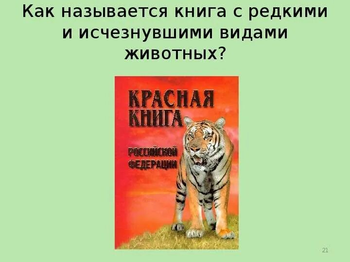 Проект презентация красная книга. Красный. Красная книга. Рисунок красной книги 4 класс окружающий мир. Красная книга презентация.