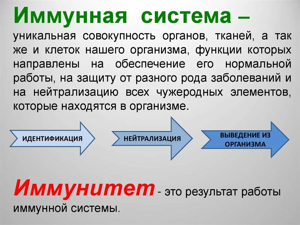 Иммунная система. А система иммунитета. Иммунная система это совокупность органов тканей и клеток. Органы, ткани и клетки иммунной системы.