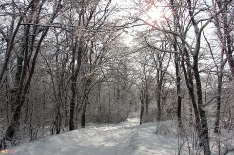 Лукьяновка приморский край