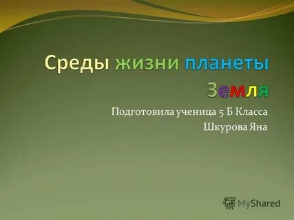 Среды жизни планеты земля 5 класс