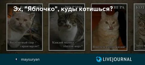 Яблочко да с голубикою подходи буржуй