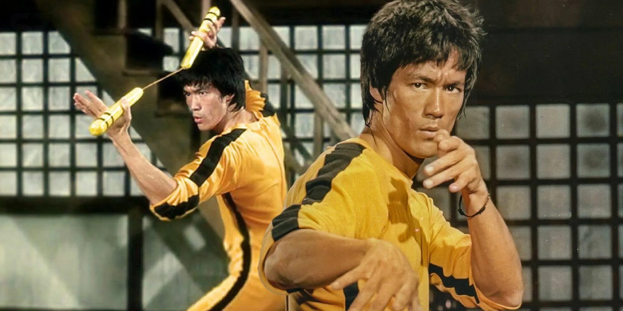 Bruce Lee Death. Bruce Lee игра. Брюс ли путь воина. Новая игра смерти