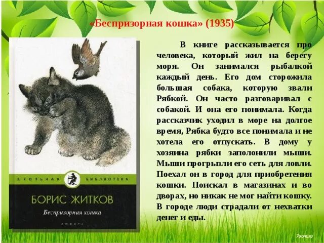 Рассказы о животных б с. Б. жиднов без призорная кошка. житков б.с. &quot;беспризорная кошка&quot;. книжка беспризорная кошка. рассказ о животных кратко.